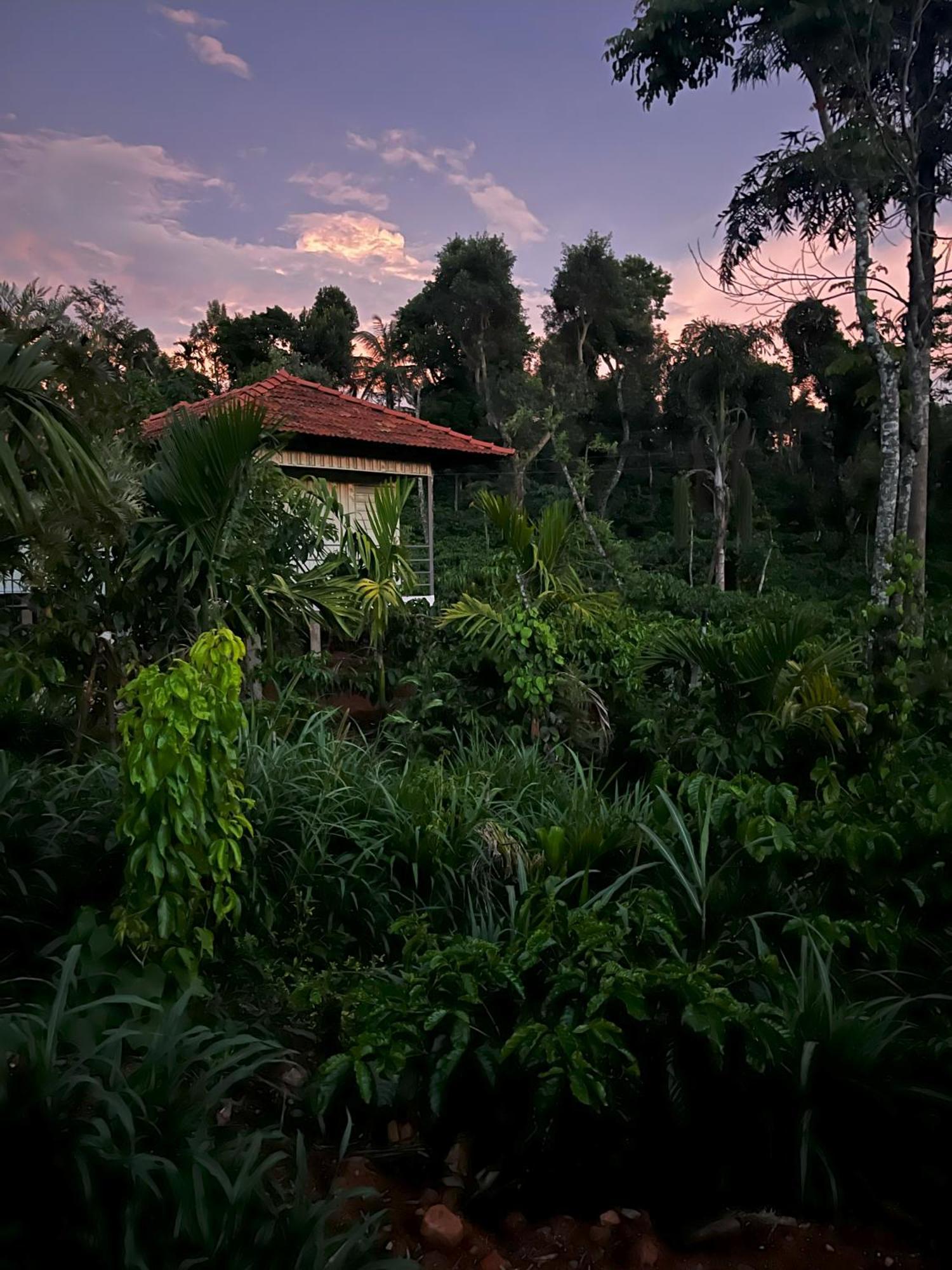 Vigo Homes Sakleshpur Exterior foto